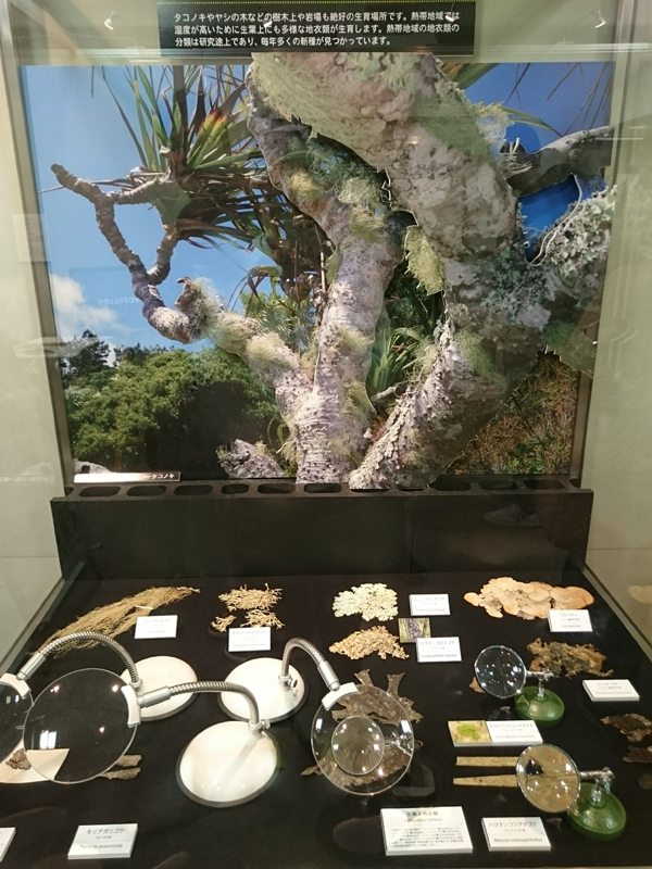 f:id:Melonpankuma:20171228144844j:plain