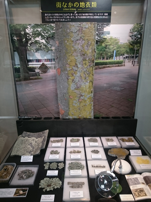 f:id:Melonpankuma:20171228144845j:plain