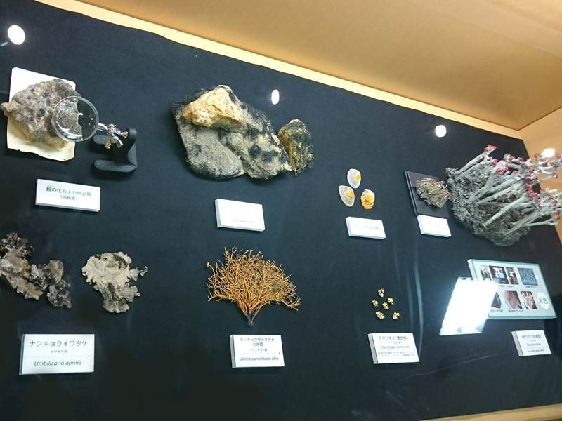 f:id:Melonpankuma:20171228144846j:plain