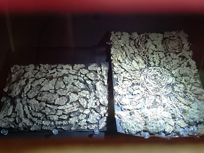 f:id:Melonpankuma:20171228144849j:plain