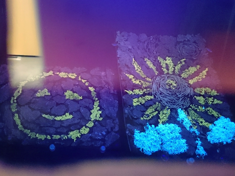 f:id:Melonpankuma:20171228144850j:plain