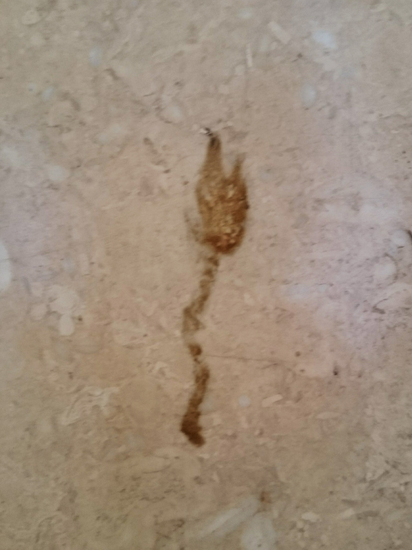 f:id:Melonpankuma:20171228144852j:plain