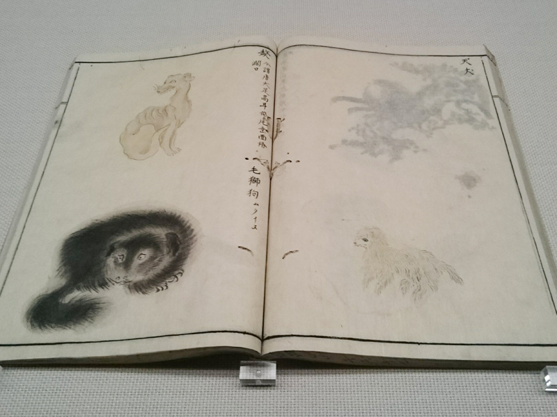 f:id:Melonpankuma:20180104130218j:plain f:id:Melonpankuma:20180104130218j:plain