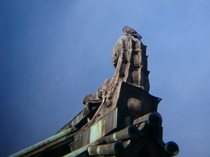 f:id:Melonpankuma:20180107225321j:plain f:id:Melonpankuma:20180107225321j:plain