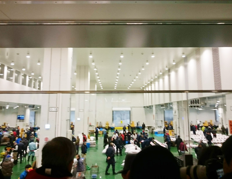 f:id:Melonpankuma:20190115125403j:plain