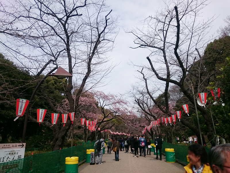 f:id:Melonpankuma:20190319192115j:plain