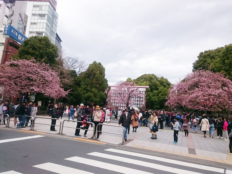 御即位30年記念 両陛下と文化交流 日本美を伝える 展 前期 東京国立博物館 本館 常温常湿希望