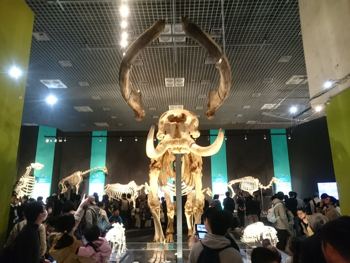 f:id:Melonpankuma:20190322203130j:plain