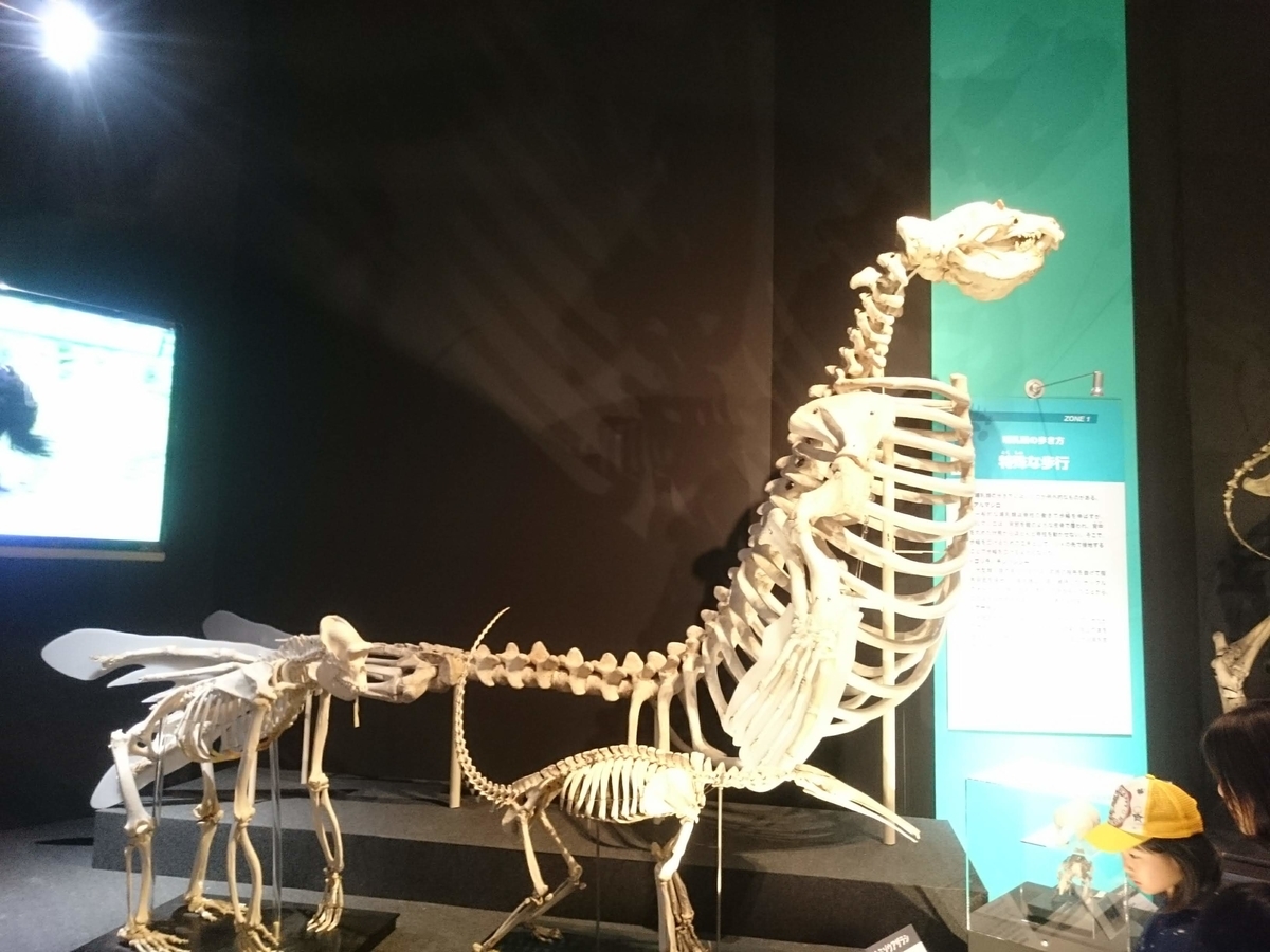 f:id:Melonpankuma:20190322203151j:plain