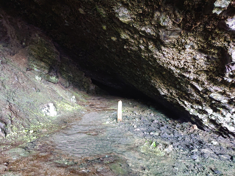 f:id:Melonpankuma:20190929194131j:plain