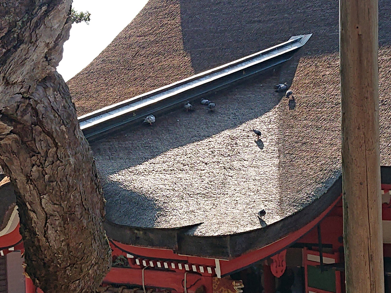 f:id:Melonpankuma:20190929194419j:plain