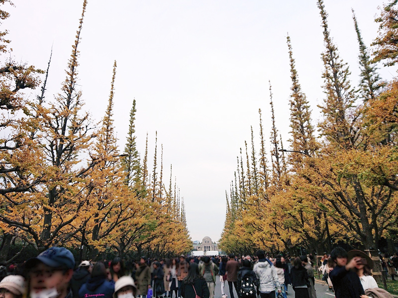 f:id:Melonpankuma:20191202152339j:plain