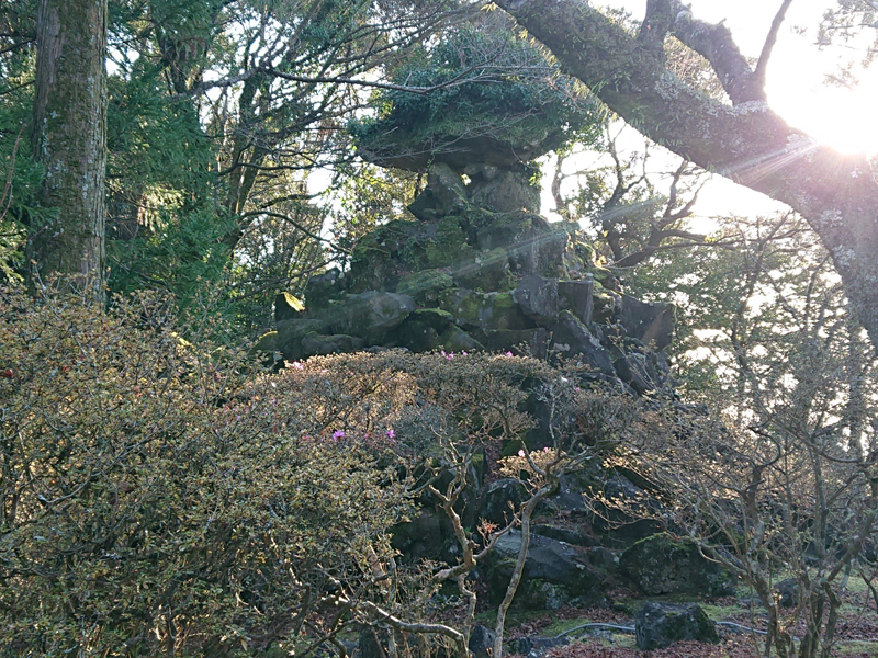 f:id:Melonpankuma:20200112225634j:plain