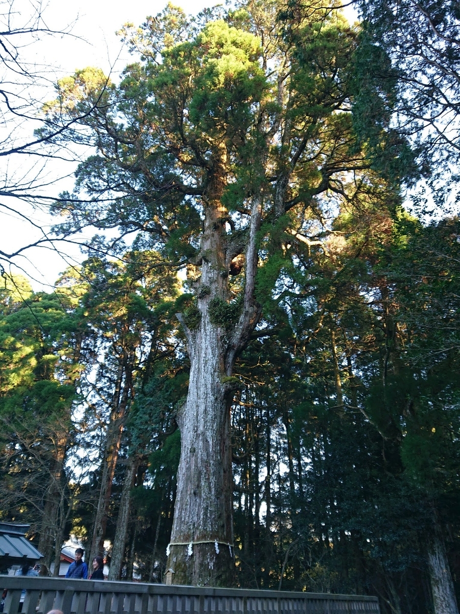 f:id:Melonpankuma:20200113131846j:plain