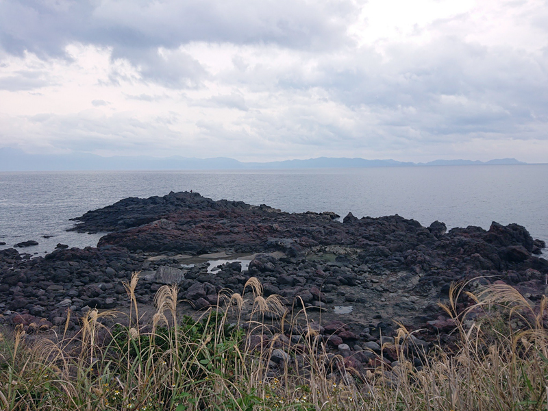 f:id:Melonpankuma:20200114214946j:plain