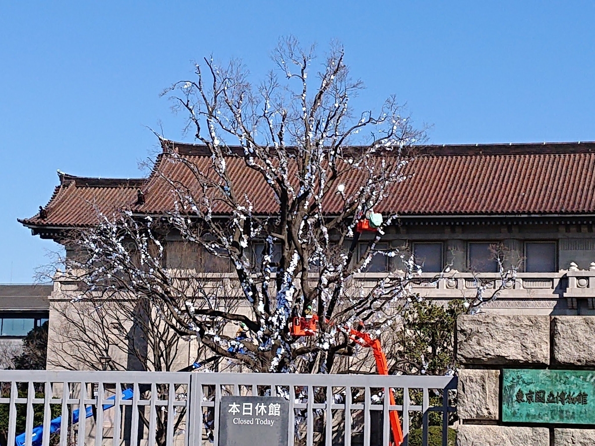 f:id:Melonpankuma:20200228105430j:plain