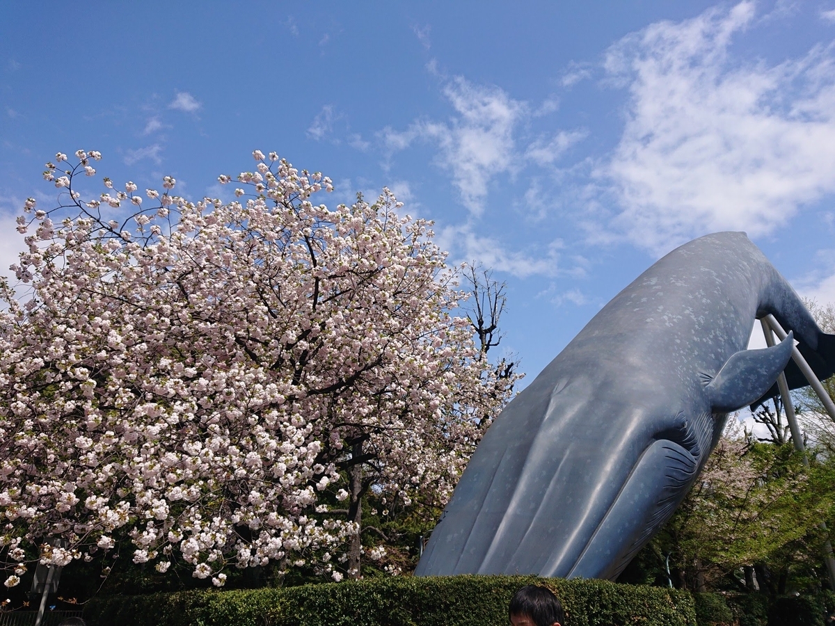 f:id:Melonpankuma:20210403165241j:plain