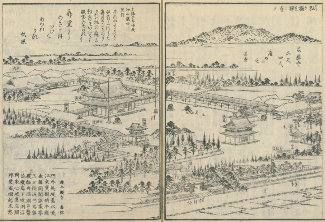 f:id:Melonpankuma:20210607091646j:plain