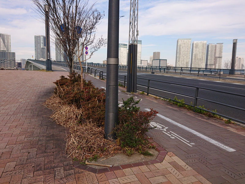 f:id:Melonpankuma:20211230161702j:plain