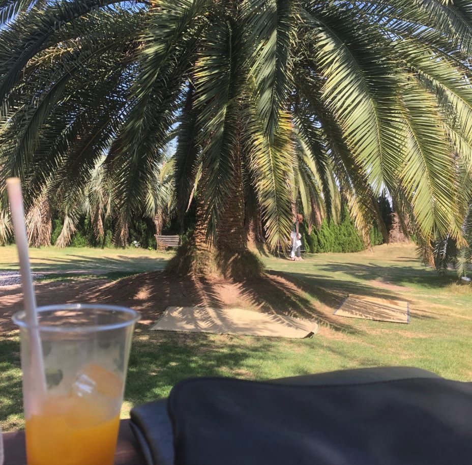 f:id:Memorandum_2018:20190615124143j:plain