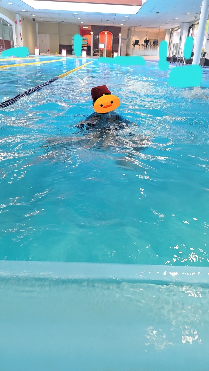 f:id:Merika:20210416204717j:plain