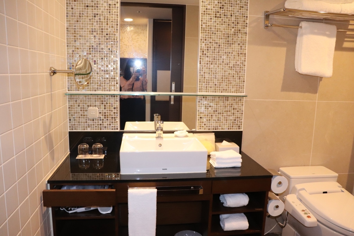 f:id:Merika:20210417214654j:plain