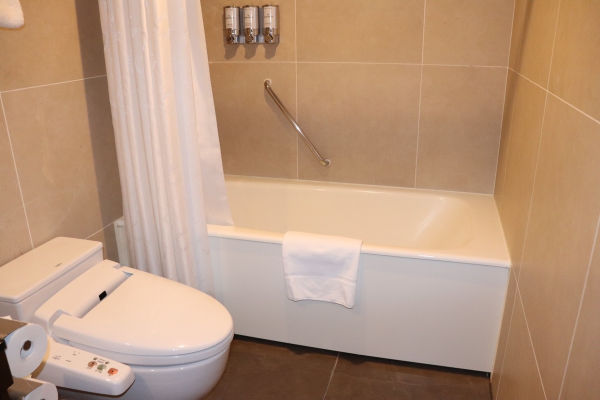 f:id:Merika:20210417214918j:plain