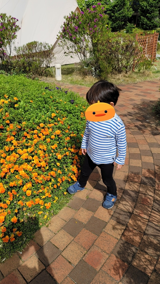 f:id:Merika:20210424201954j:plain