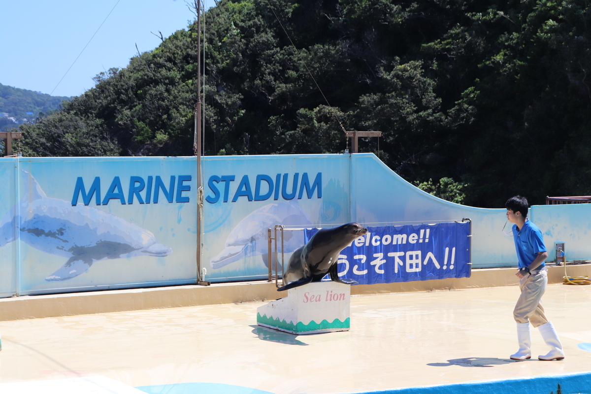 f:id:Merika:20210504163507j:plain