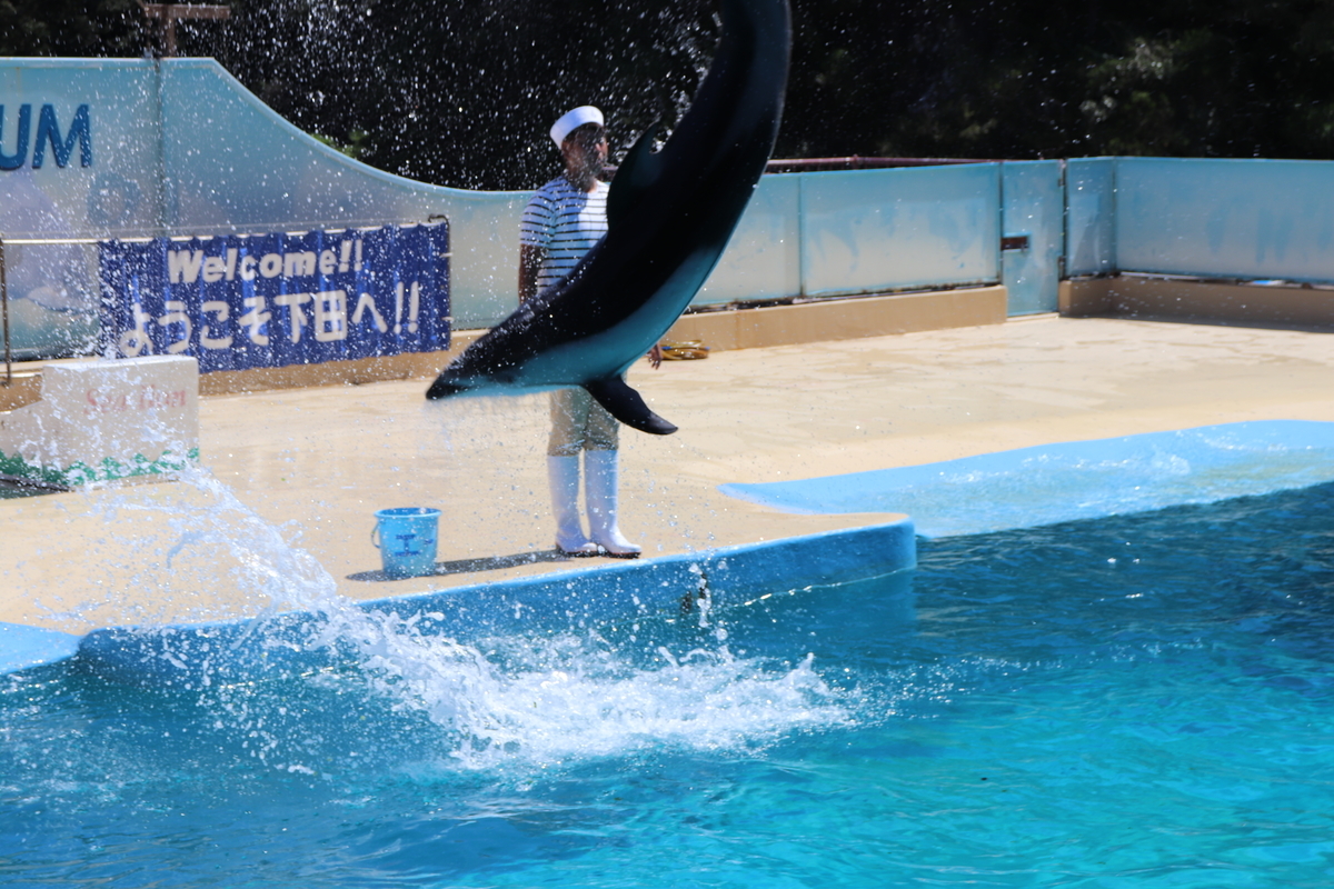 f:id:Merika:20210504163609j:plain