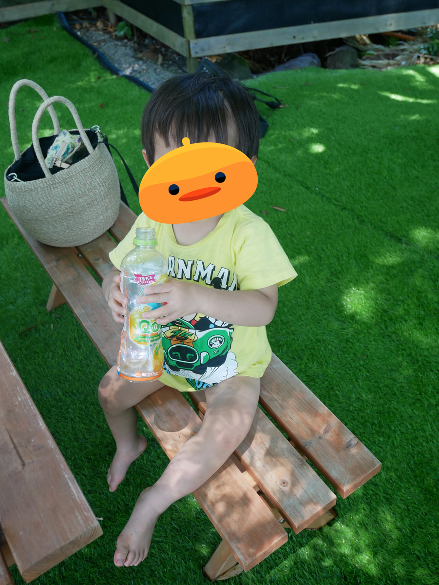 f:id:Merika:20210624211640j:plain