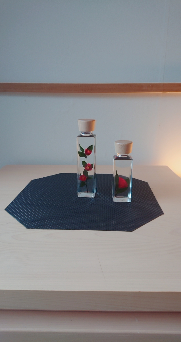 f:id:Merika:20210702213512j:plain