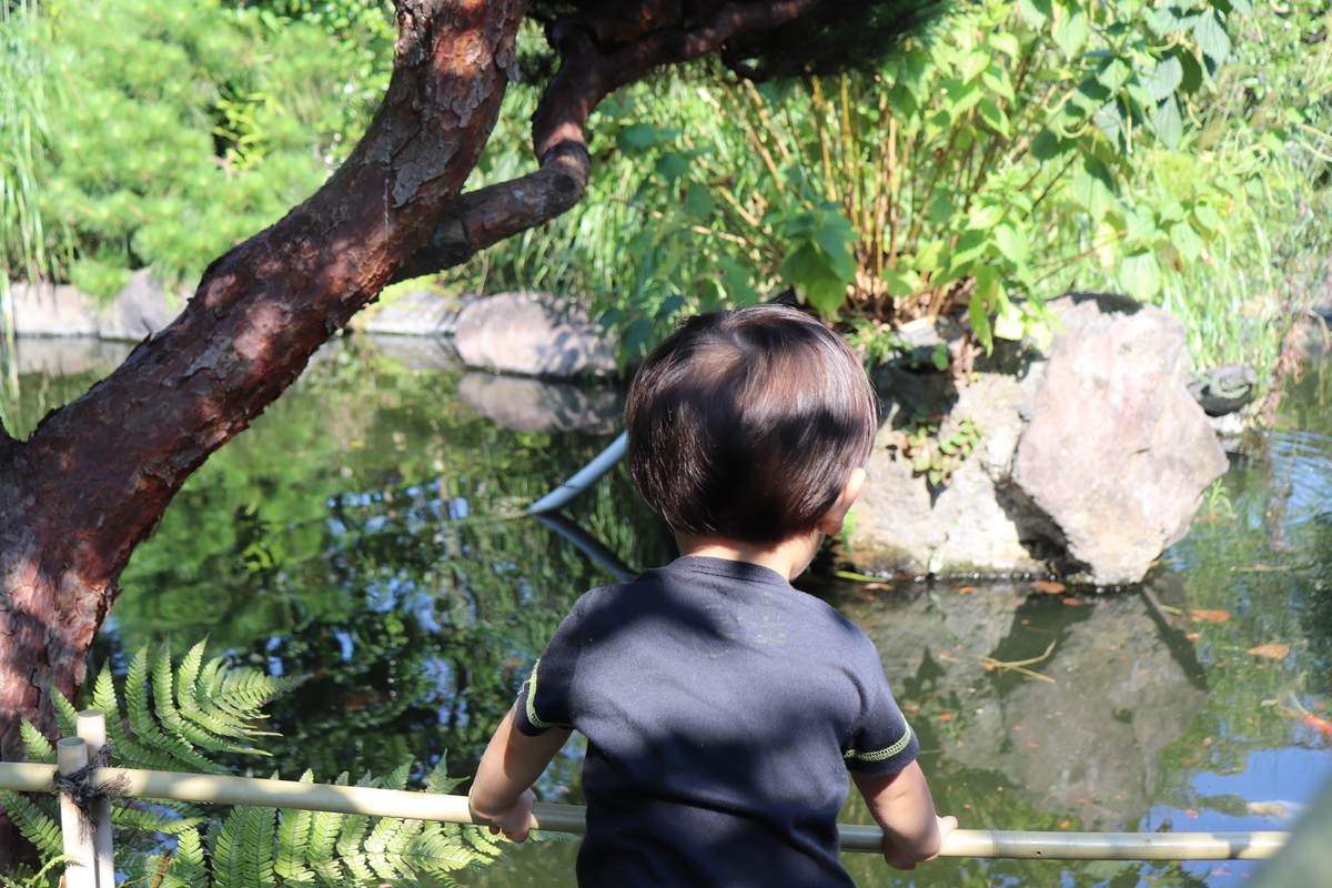 f:id:Merika:20210702220039j:plain