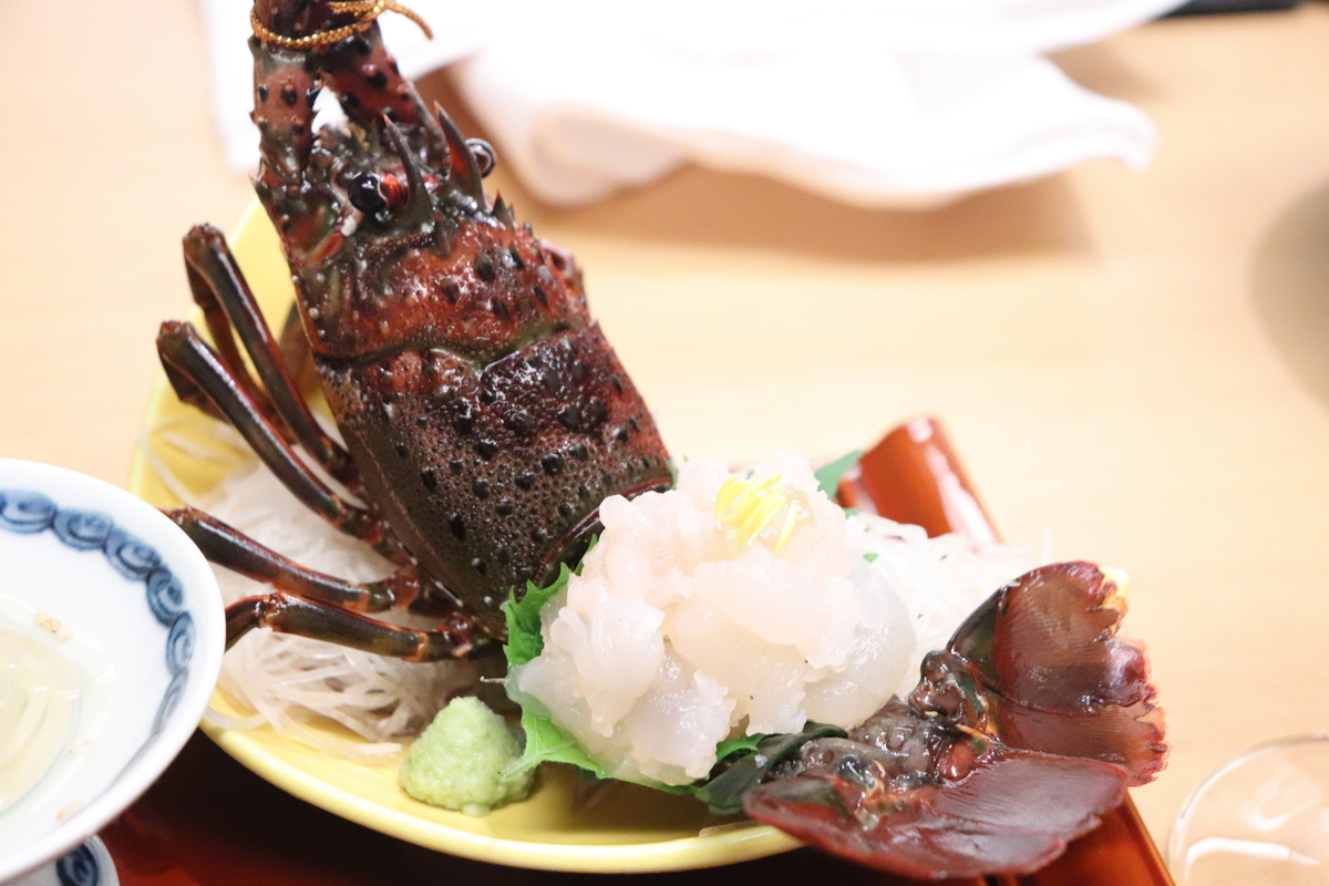 f:id:Merika:20210702221638j:plain