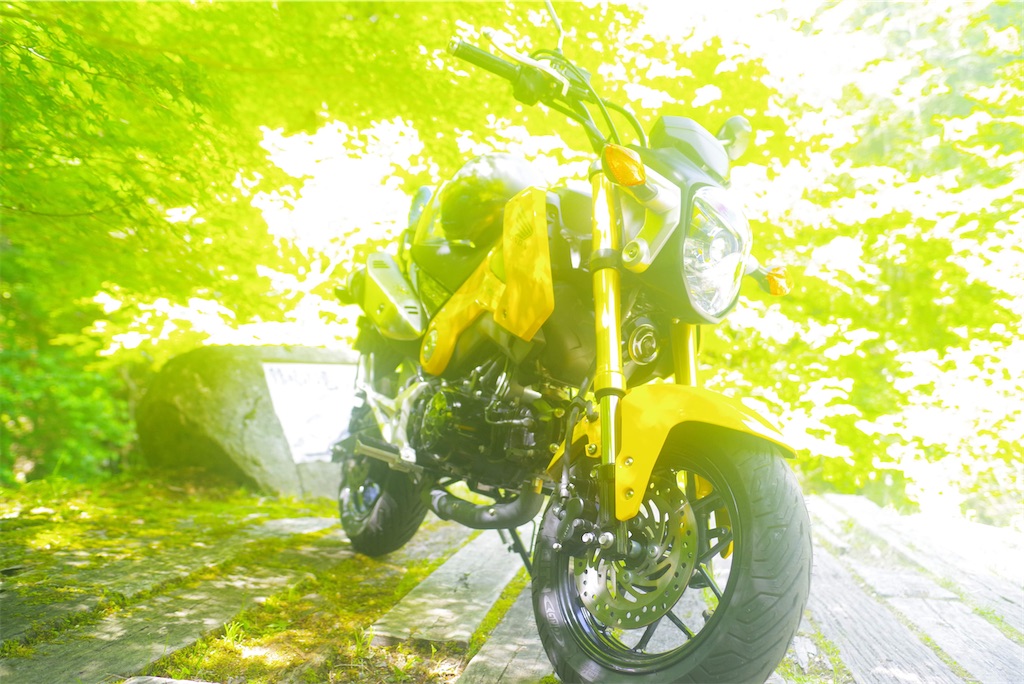 f:id:MerryCAT:20200929131330j:image