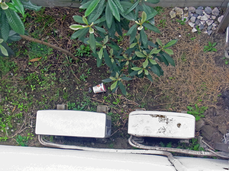 f:id:Meshi2_IB:20150330120600j:plain f:id:Meshi2_IB:20150330120600j:plain