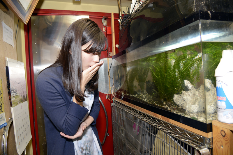 f:id:Meshi2_IB:20150422112535j:plain f:id:Meshi2_IB:20150422112535j:plain