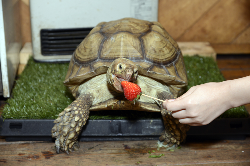 f:id:Meshi2_IB:20150422112649j:plain f:id:Meshi2_IB:20150422112649j:plain