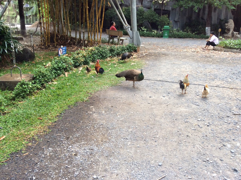 f:id:Meshi2_IB:20150527170203j:plain