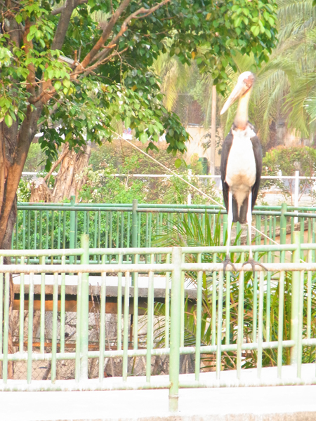 f:id:Meshi2_IB:20150527170659j:plain