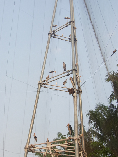 f:id:Meshi2_IB:20150527170730j:plain