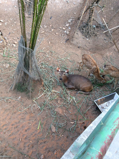 f:id:Meshi2_IB:20150527170846j:plain