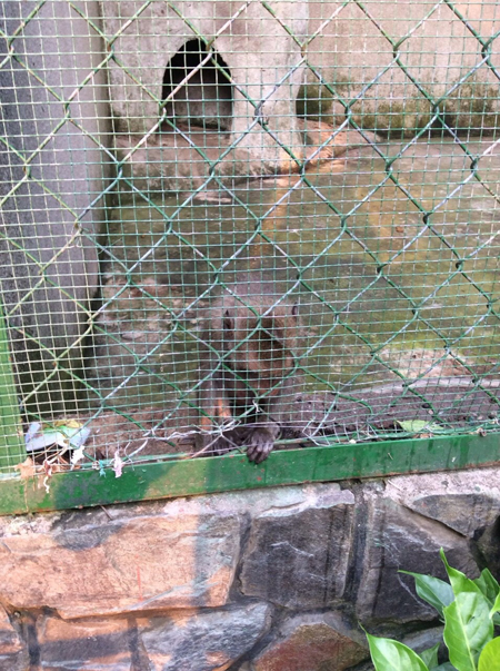 f:id:Meshi2_IB:20150527170925j:plain