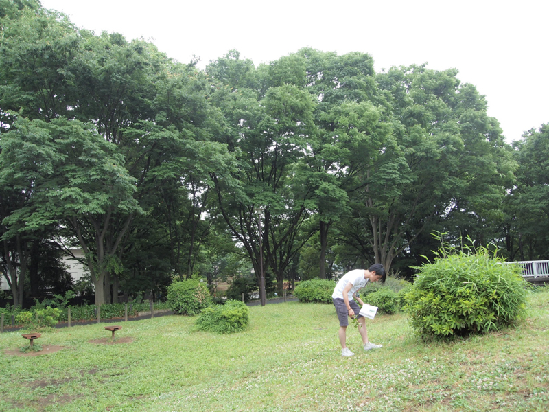 f:id:Meshi2_IB:20150601145434j:plain