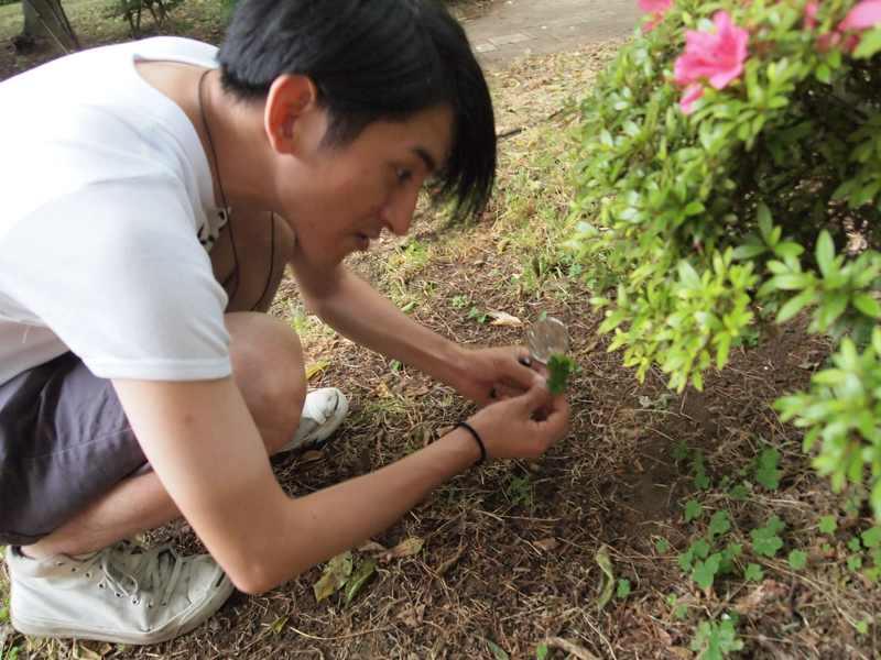 f:id:Meshi2_IB:20150601145437j:plain