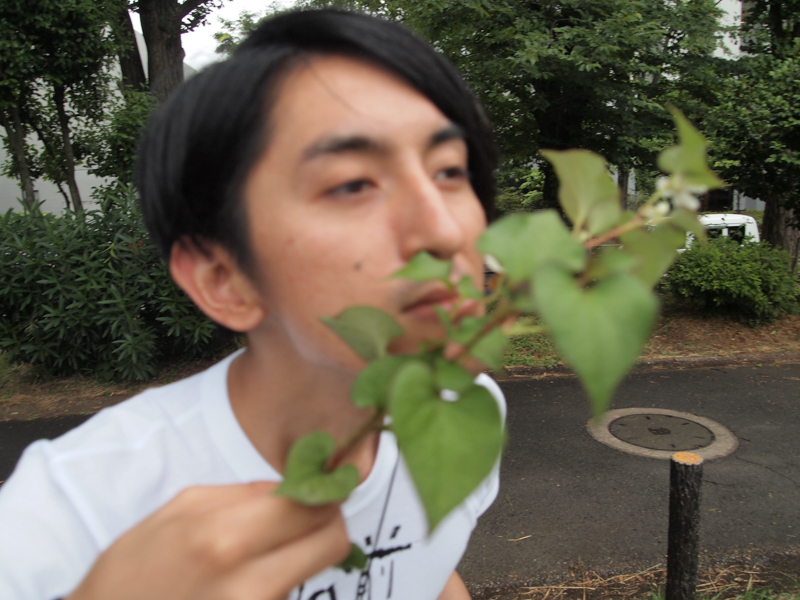 f:id:Meshi2_IB:20150601145441j:plain