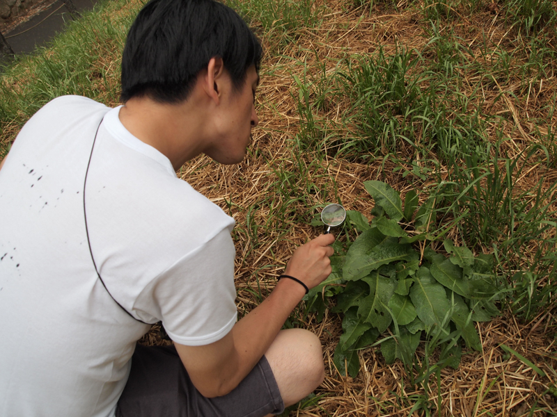 f:id:Meshi2_IB:20150601145444j:plain