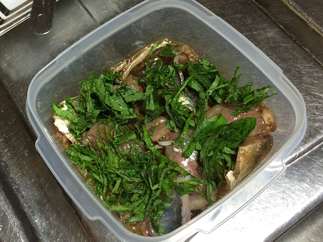 f:id:Meshi2_IB:20150703174118j:plain