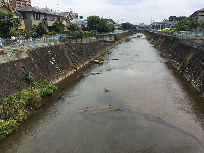 f:id:Meshi2_IB:20150712215706j:plain