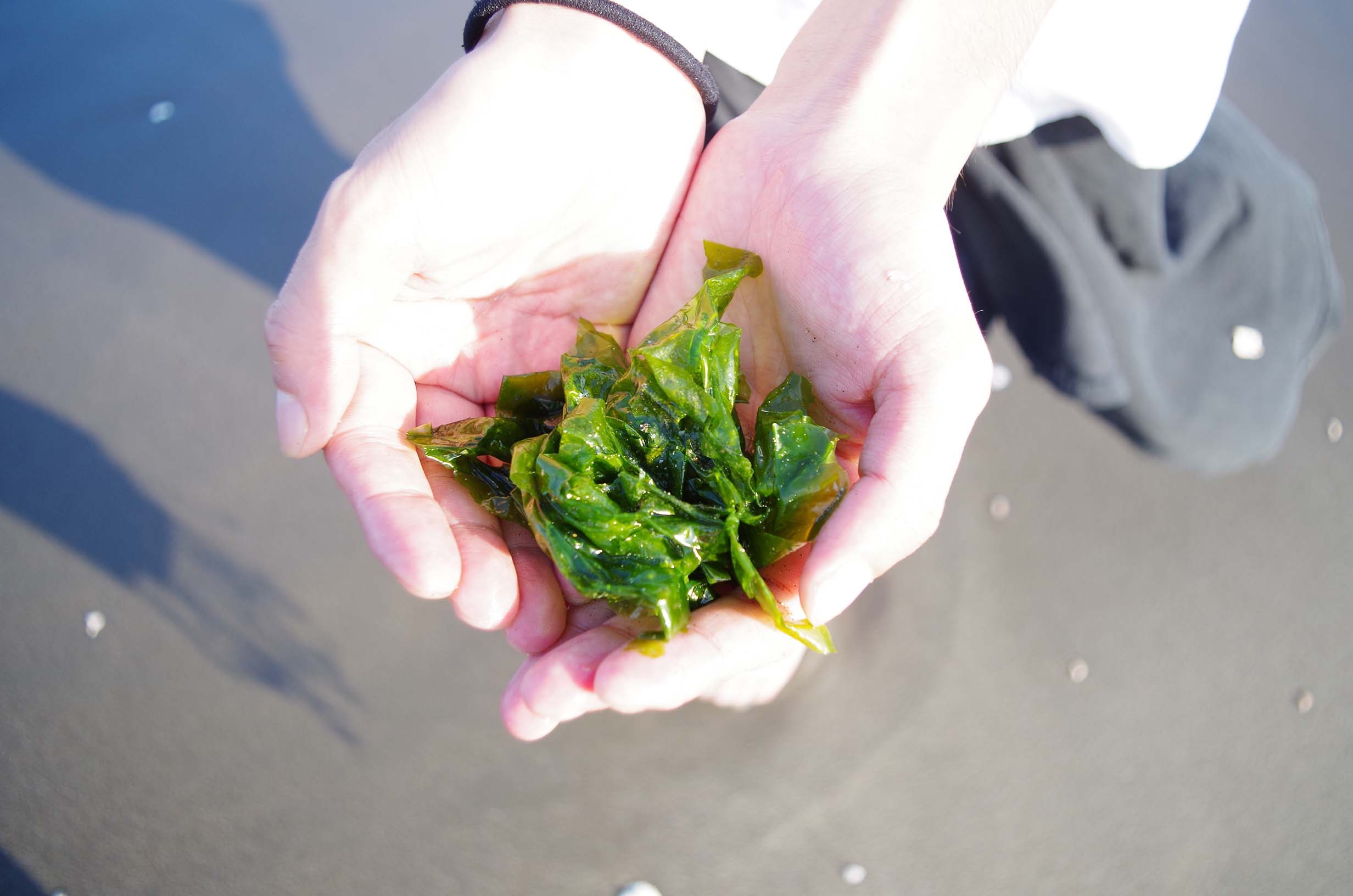 f:id:Meshi2_IB:20150712223657j:plain f:id:Meshi2_IB:20150712223657j:plain
